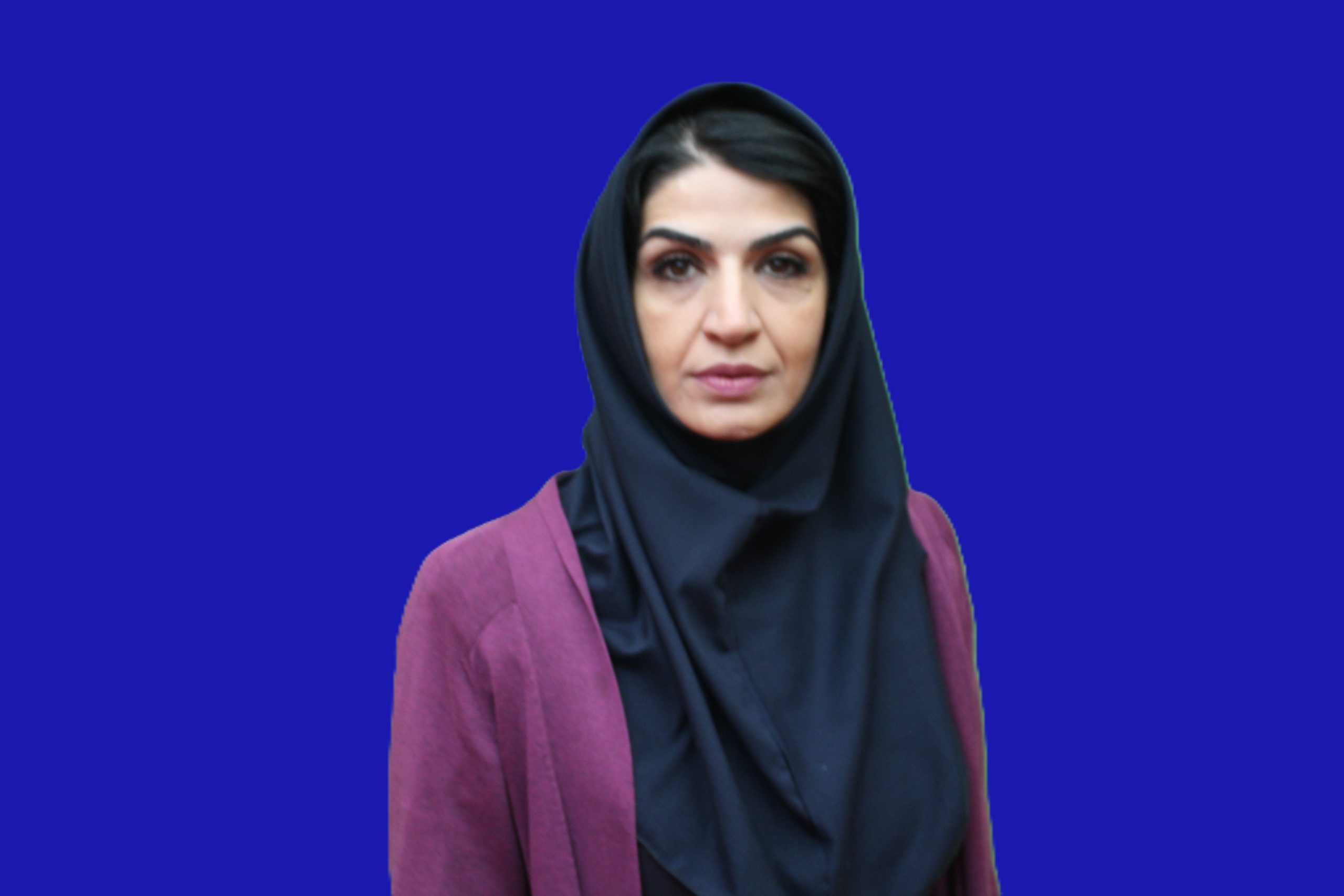 پریسانوروی